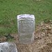 Robert Simms Photo 40