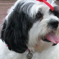 Mabel Allen Photo 9