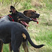 Ralph Best Photo 25