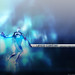 Vince Carter Photo 4