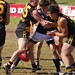 Josh Nicholas Photo 16