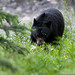 Mark Ours Photo 4