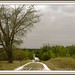 Elnora Gray Photo 6