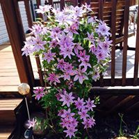 Cathy Tuttle Photo 19