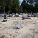 Robert Conard Photo 12
