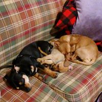 Connie Mccarty Photo 12