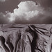 William Capps Photo 20