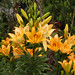 Pat Haskell Photo 8