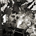 Brian Koch Photo 13
