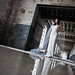 Carol Clift Photo 13