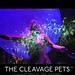 Julie Weldon Photo 15