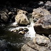 Jeronimo Rios Photo 9