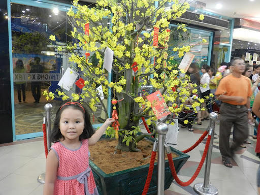 Vy Dinh Photo 14