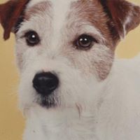 Stephen Hutchins Photo 30