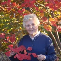 Nancy Mcdermott Photo 18