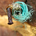James Mutton Photo 20