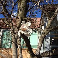 Donna Morin Photo 28