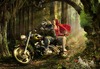 Scott Garrison Photo 42