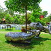 Van Ho Photo 12