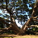 Park Robinson Photo 5