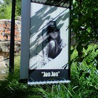 Jon Curtis Photo 24