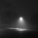 Sandy Peterson Photo 3