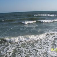 Teresa Smithey Photo 3