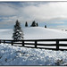 Lisa Snow Photo 41