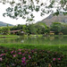 Jose Vale Photo 15