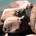 Jay Lake Photo 6