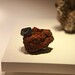 Richard Samples Photo 30