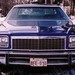 Allison Mcwilliams Photo 10