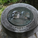 Barry Koch Photo 27