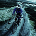 Gerard Rich Photo 9