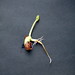 April Bean Photo 21