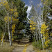 Raymond Miller Photo 24