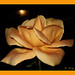 Rose Martinez Photo 10