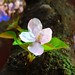 Thuan Trinh Photo 11