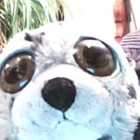 Mary Seal Photo 3