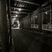Catherine Lane Photo 15