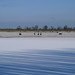 Gene Lange Photo 2