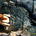 Diane Waters Photo 3