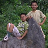 Yang Cai Photo 10