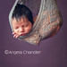 Angela Chandler Photo 28