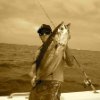 Jeff Devore Photo 1