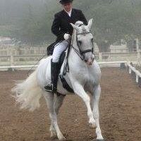 Suzanne Randall Photo 30