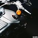 Jay Davidson Photo 29