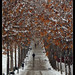 Dolores Madrid Photo 14