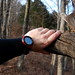 Jason Hand Photo 42