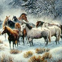 Mary Salyer Photo 16